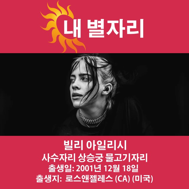 빌리 아일리시의 사수자리 성격 분석