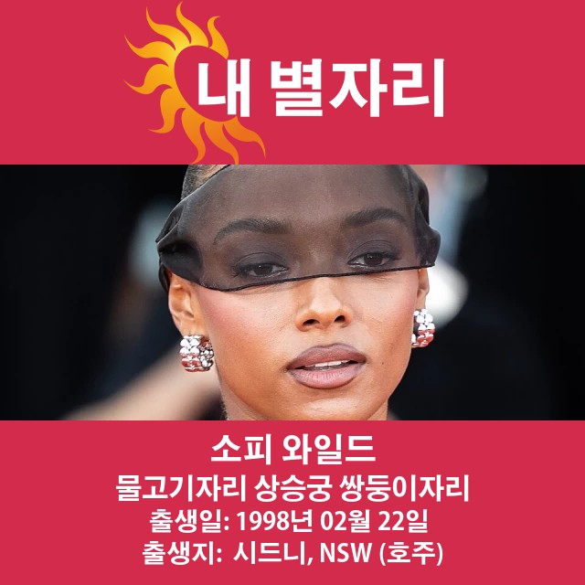 소피 와일드의 물고기자리 점성술 통찰력