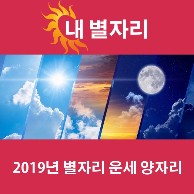 양자리의 2019 연간 운세