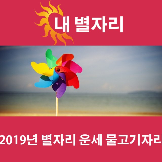 물고기자리의 2019 연간 운세