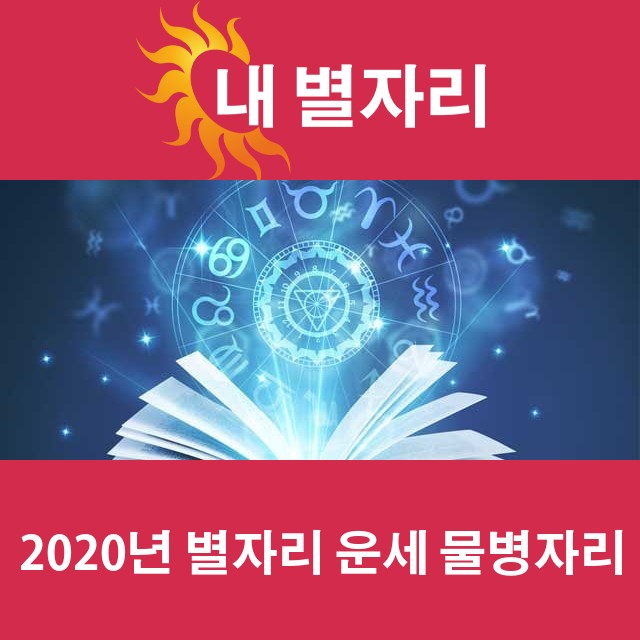 물병자리의 2020 연간 운세