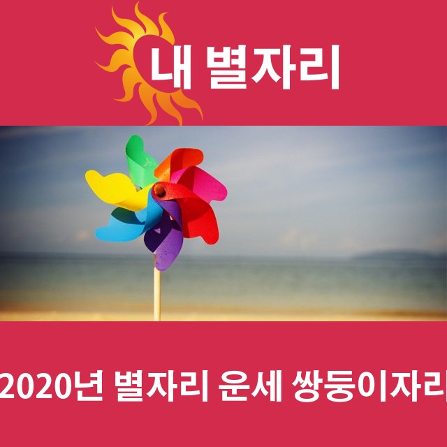 쌍둥이자리의 2020 연간 운세