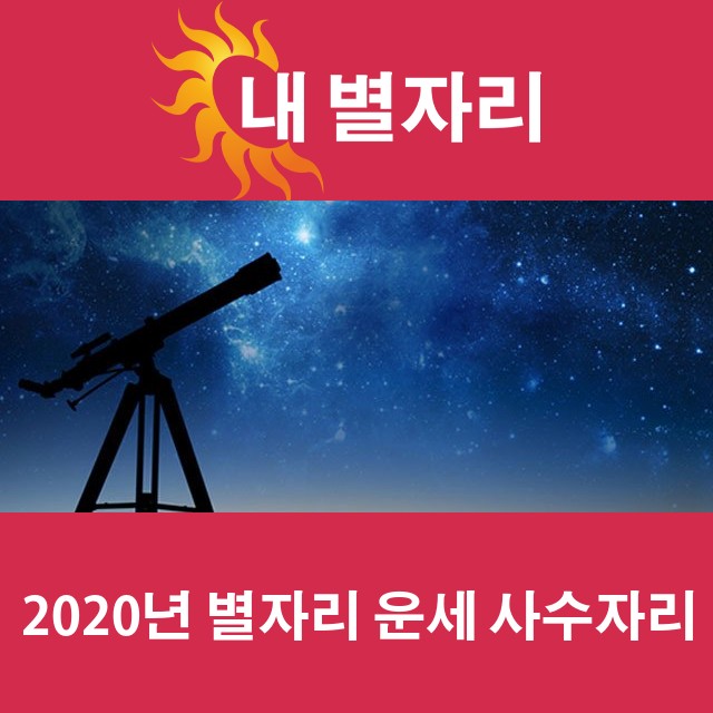 사수자리의 2020 연간 운세