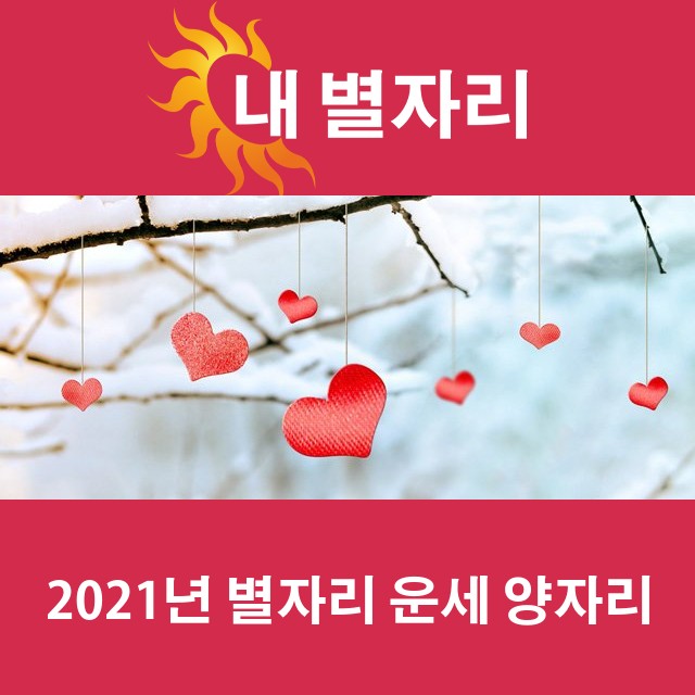 양자리의 2021 연간 운세