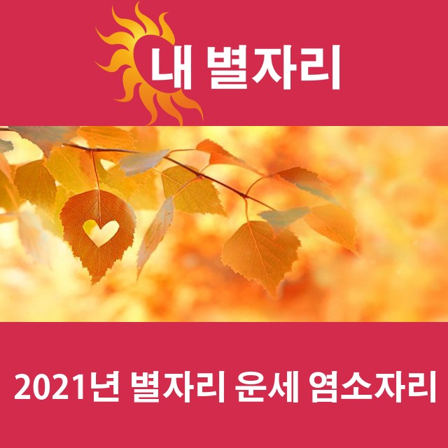 염소자리의 2021 연간 운세