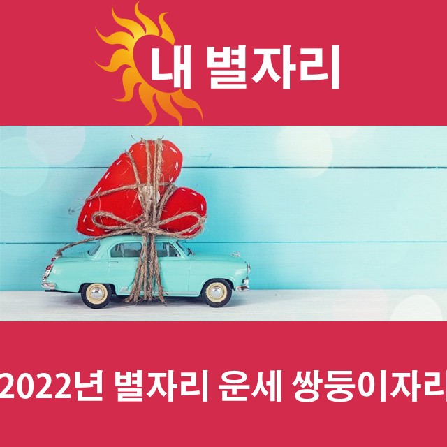 쌍둥이자리의 2022 연간 운세
