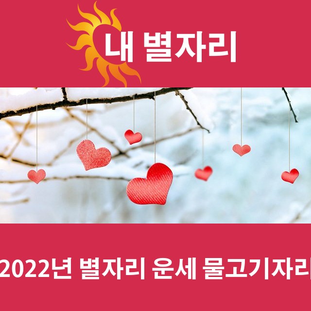 물고기자리의 2022 연간 운세