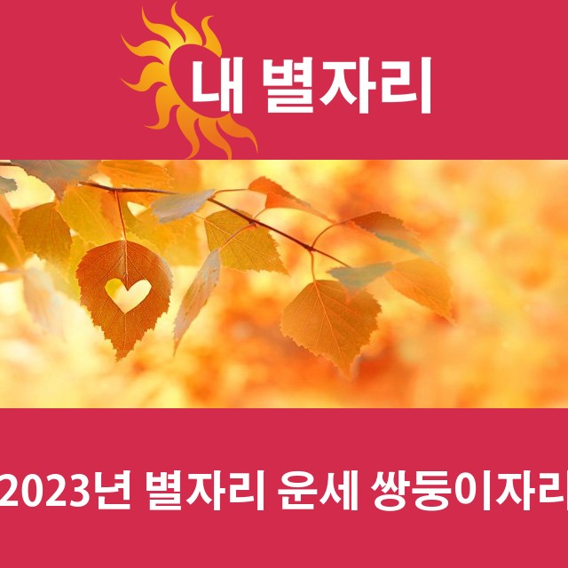 쌍둥이자리의 2023 연간 운세