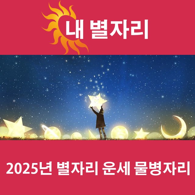 물병자리의 2025 연간 운세