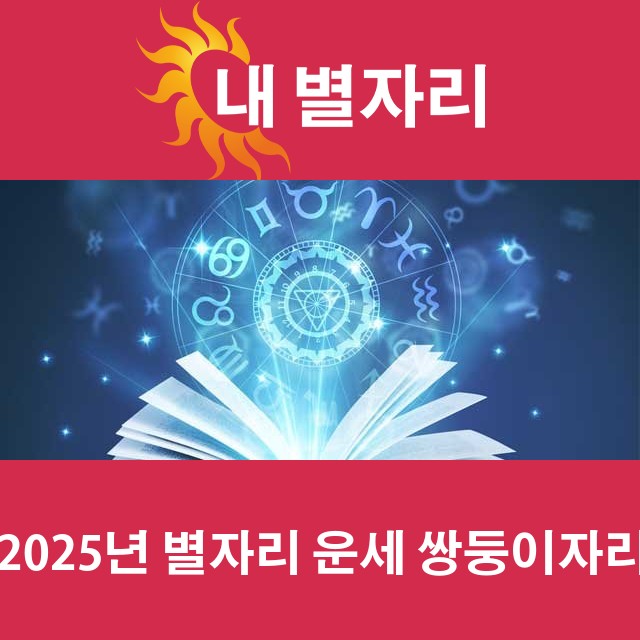 쌍둥이자리의 2025 연간 운세