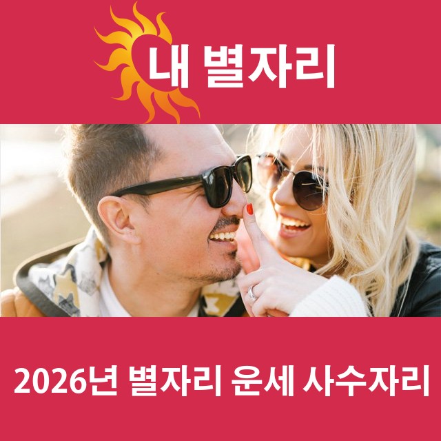 사수자리의 2026 연간 운세