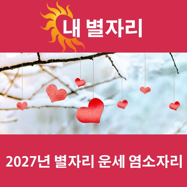 염소자리의 2027 연간 운세