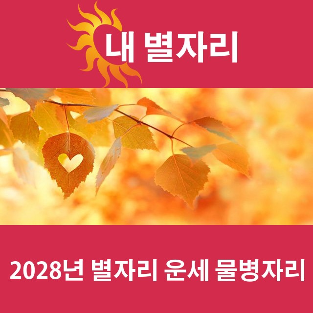 물병자리의 2028 연간 운세
