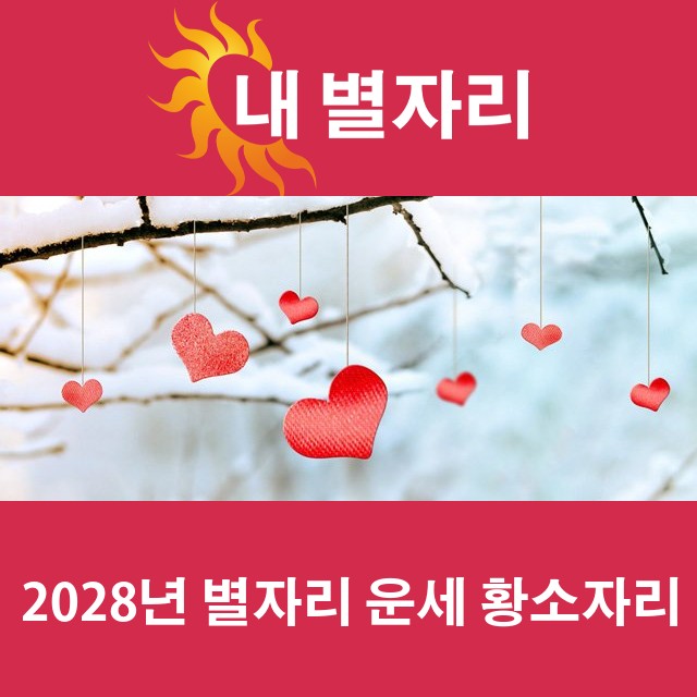 황소자리의 2028 연간 운세