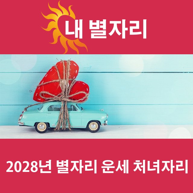 처녀자리의 2028 연간 운세