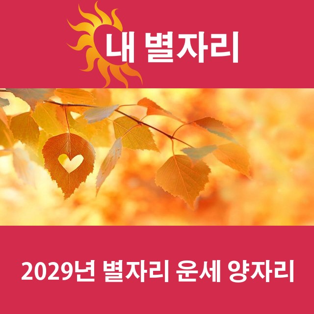 양자리의 2029 연간 운세
