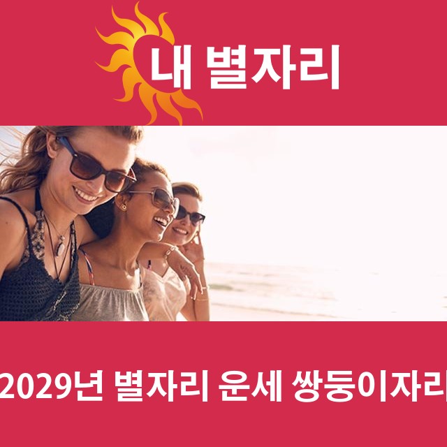 쌍둥이자리의 2029 연간 운세