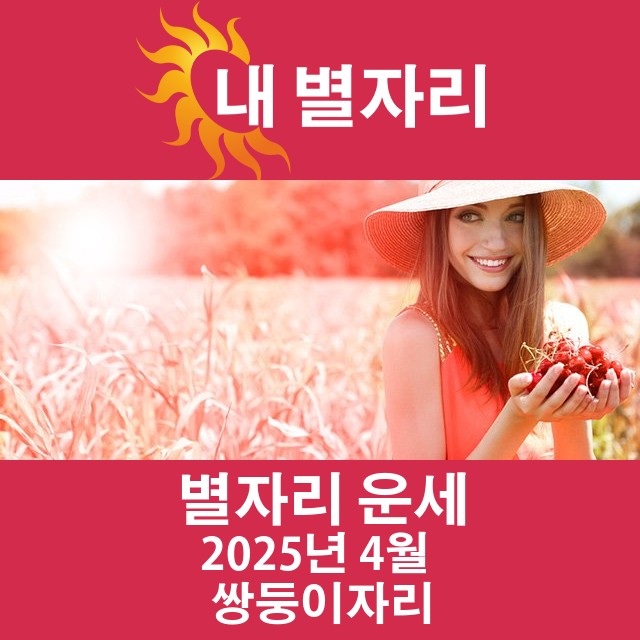 2025년4의 쌍둥이자리 월간 운세