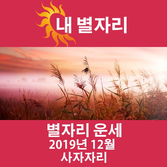 2019년 12월의 사자자리 월간 운세
