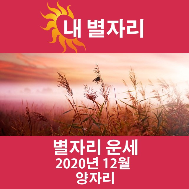 2020년 12월의 양자리 월간 운세