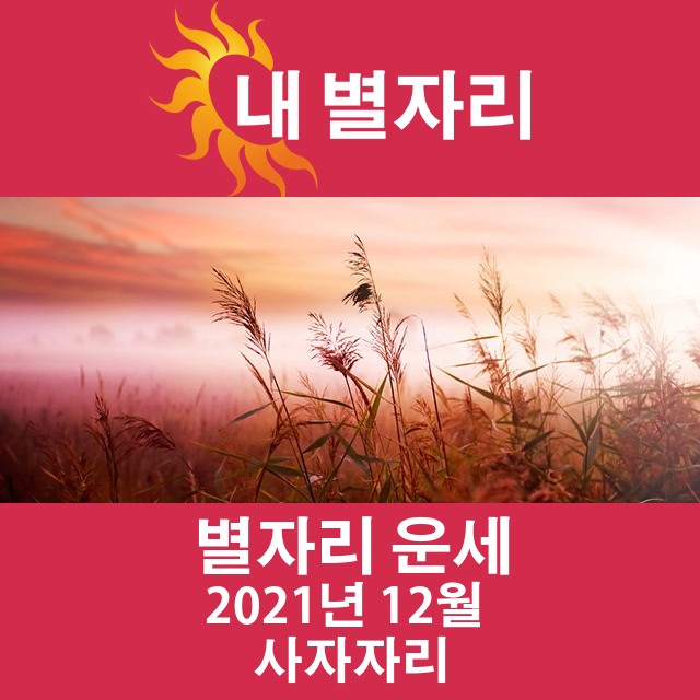 2021년 12월의 사자자리 월간 운세