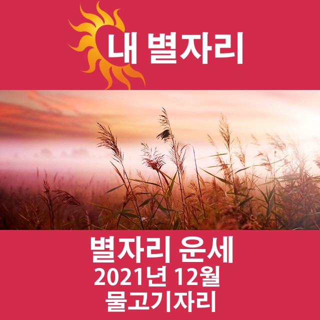 2021년 12월의 물고기자리 월간 운세