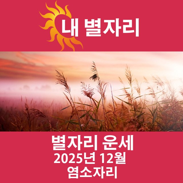 2025년12의 염소자리 월간 운세