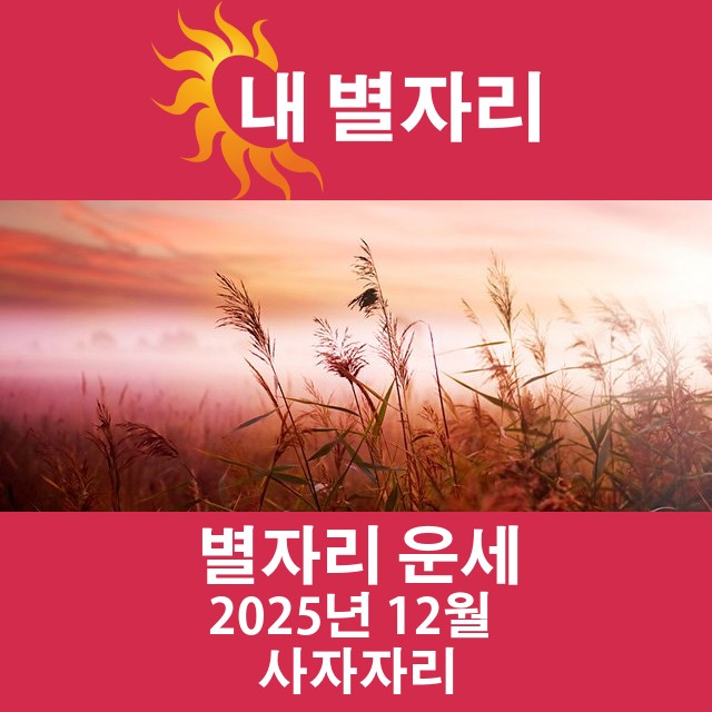 2025년12의 사자자리 월간 운세