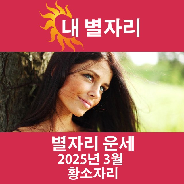 2025년3의 황소자리 월간 운세