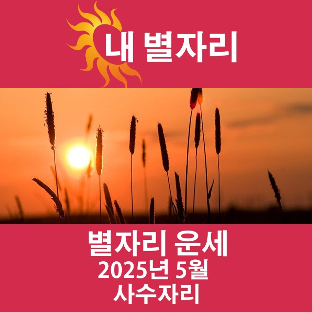 2025년5의 사수자리의 운세