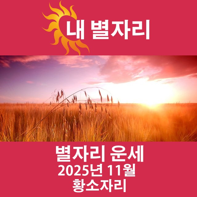 2025년11의 황소자리 월간 운세