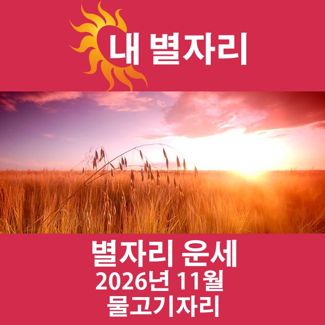 2026년11의 물고기자리 월간 운세