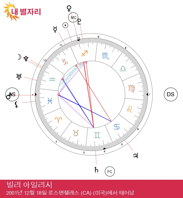 빌리 아일리시: 사수자리의 매력을 지닌 스타