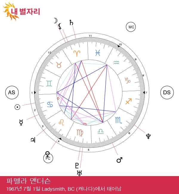 파멜라 앤더슨의 암자리 스타 특성 공개!