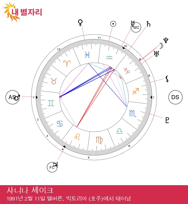 샤니나 쉐익: 물병자리 스타의 독특한 특성 소개