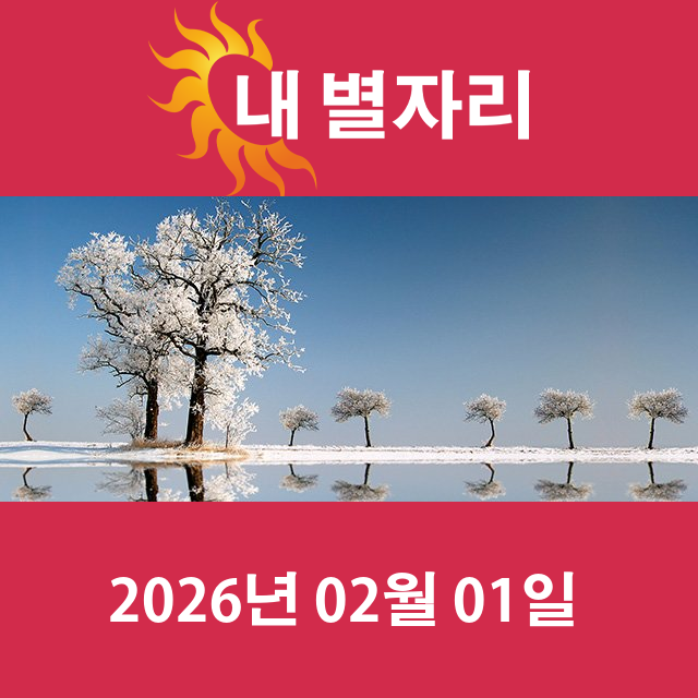 모레의 쌍둥이자리 운세