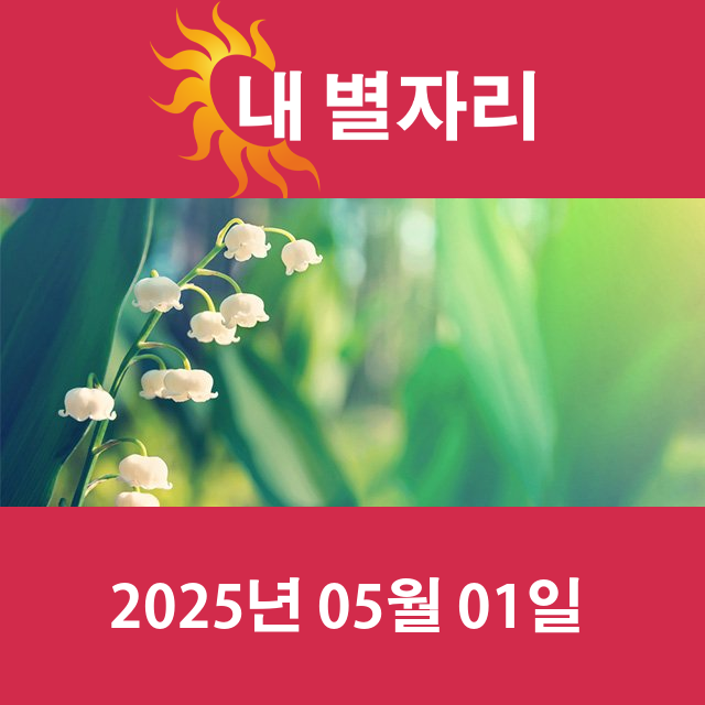 오늘의 사자자리의 운세를 확인하세요