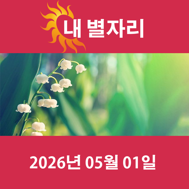 2026년5월1일의 일일 운세 예측