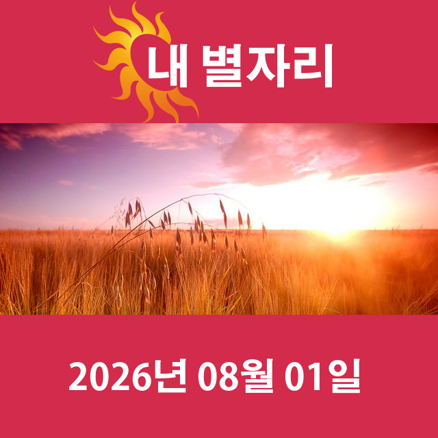 2026년8월1일의 일일 운세 예측
