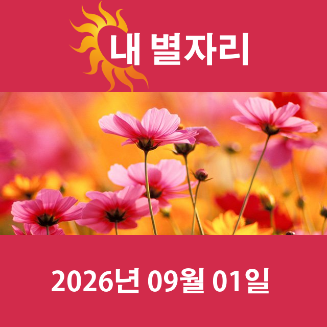 2026년9월1일의 일일 운세 예측