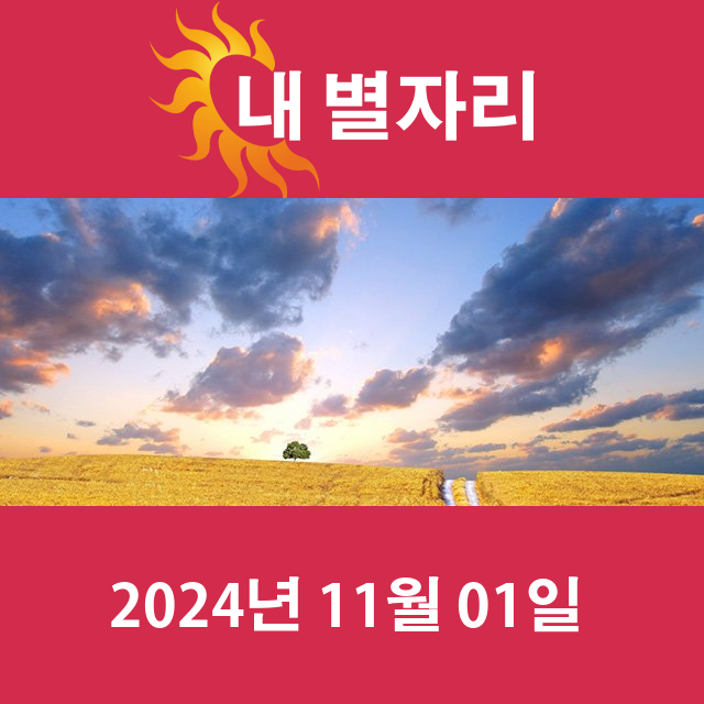 2024년11월1일의 일일 운세 예측