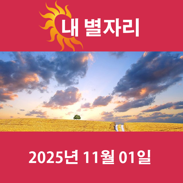 2025년11월1일의 일일 운세 예측