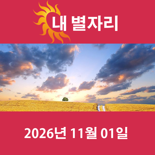 모레의 쌍둥이자리 운세