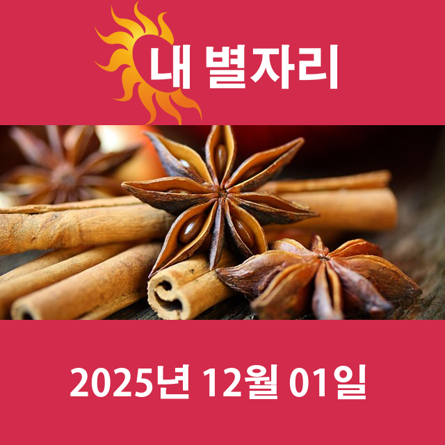 2025년12월1일의 일일 운세 예측