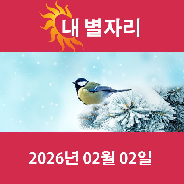 모레의 쌍둥이자리 운세