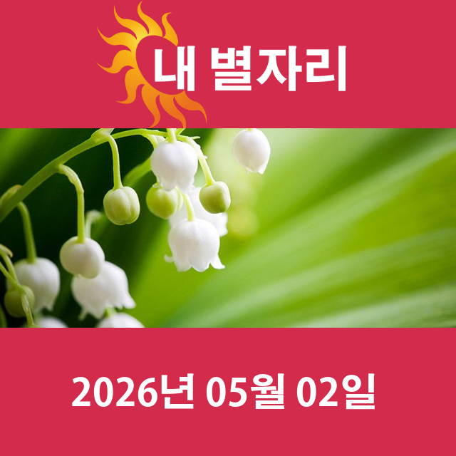 2026년5월2일의 일일 운세 예측