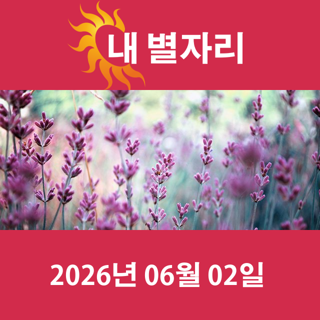 2026년6월2일의 일일 운세 예측