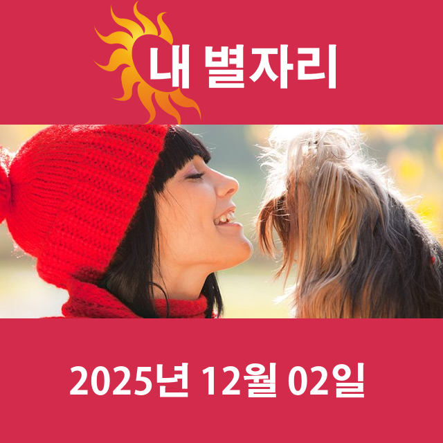 2025년12월2일의 일일 운세 예측