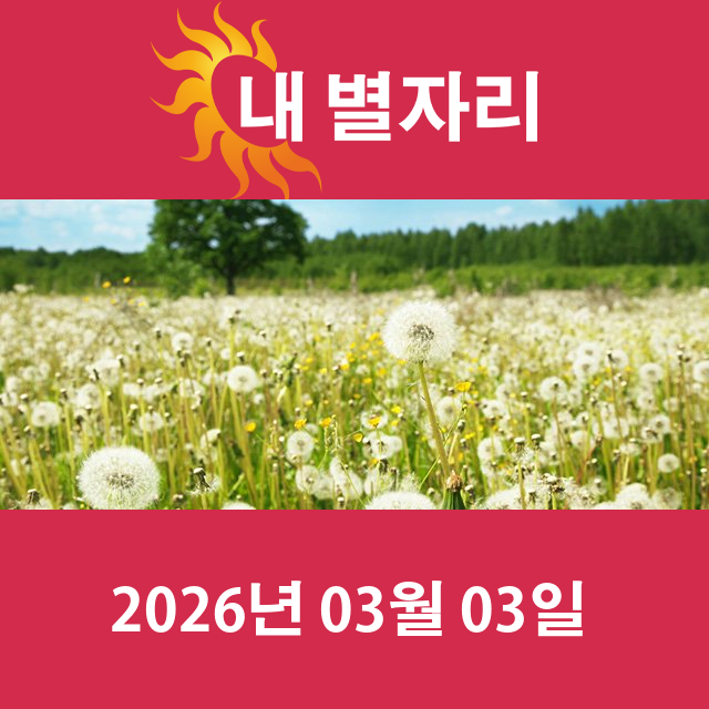 2026년3월3일의 일일 운세 예측
