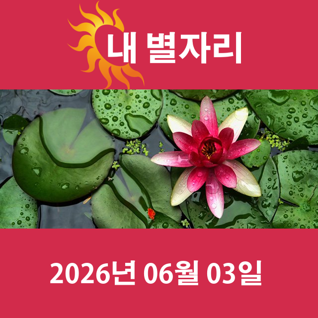 2026년6월3일의 일일 운세 예측
